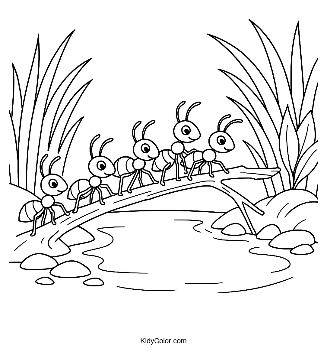 Ants crossing a twig bridge