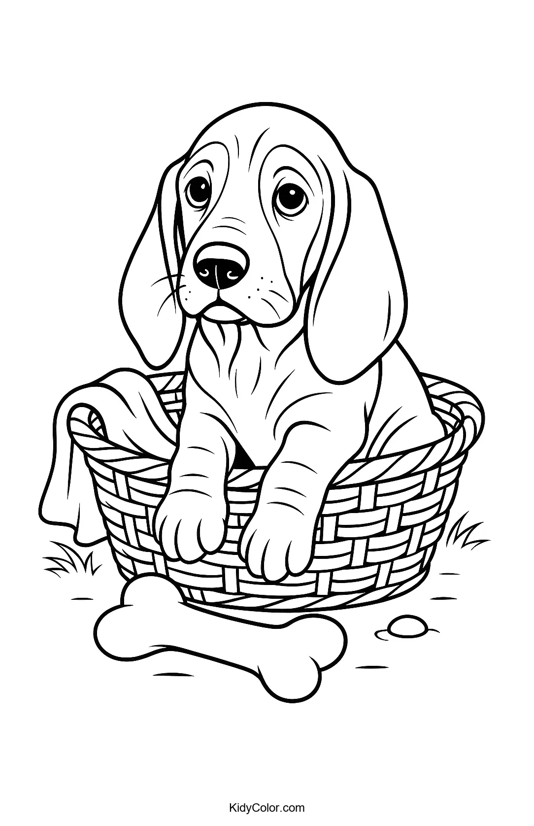 Basset Hound puppy in a basket coloring page