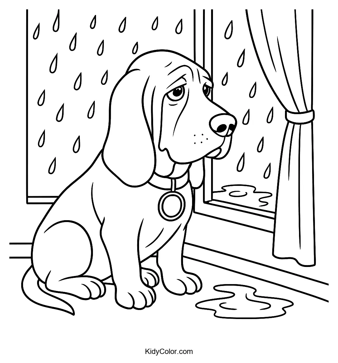 Basset Hound sitting by a rainy window