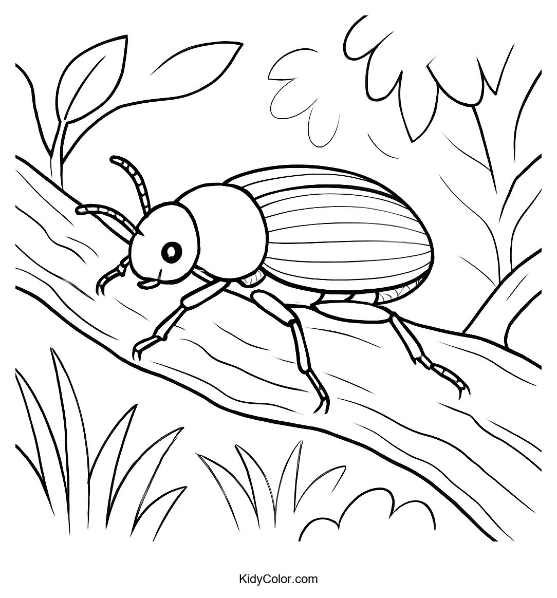 Beetle sitting on a branch