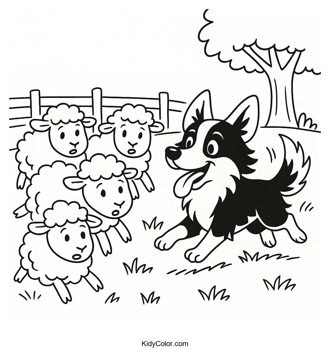 Border Collie herding sheep in a pasture