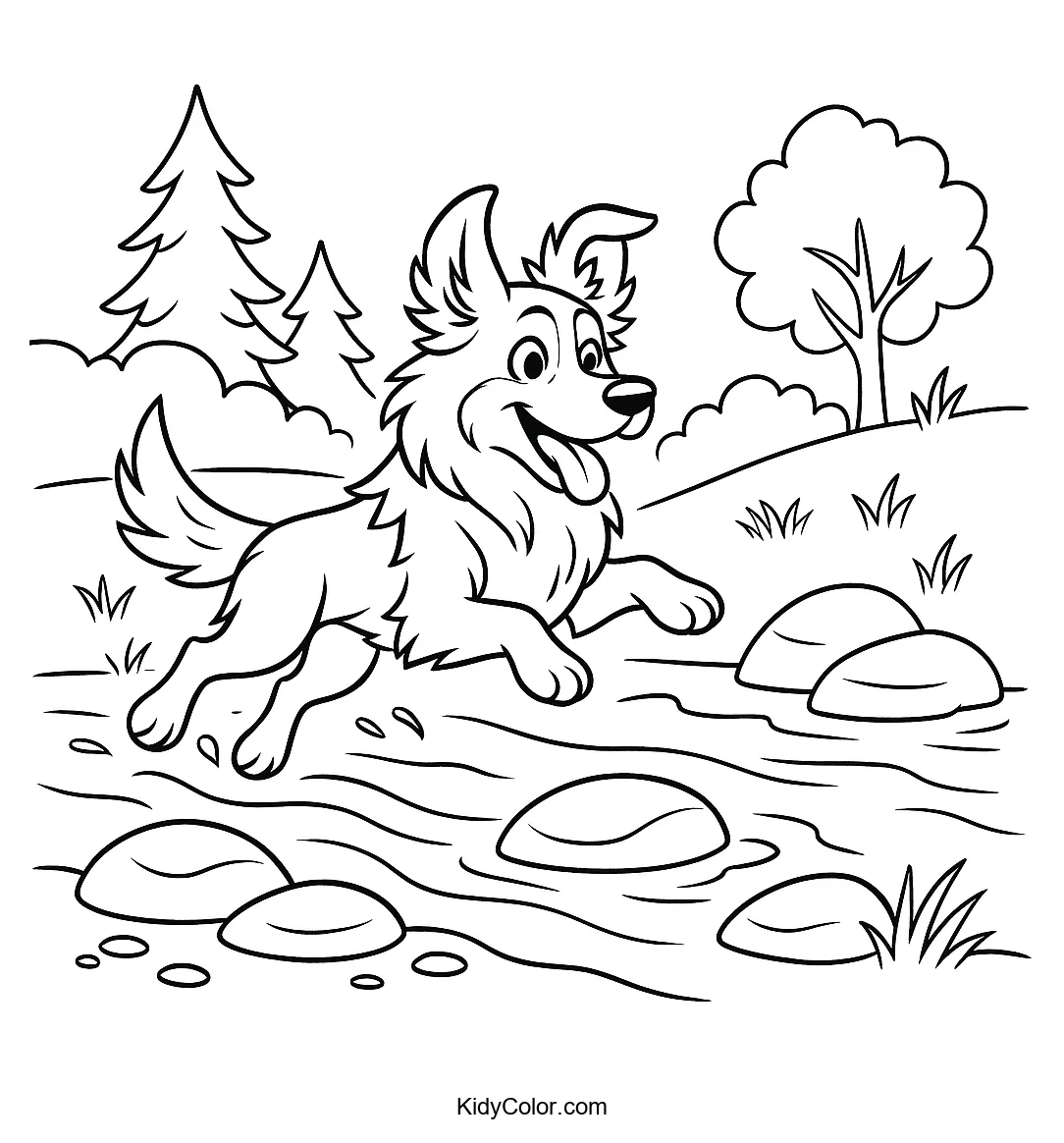 Border Collie jumping over a stream