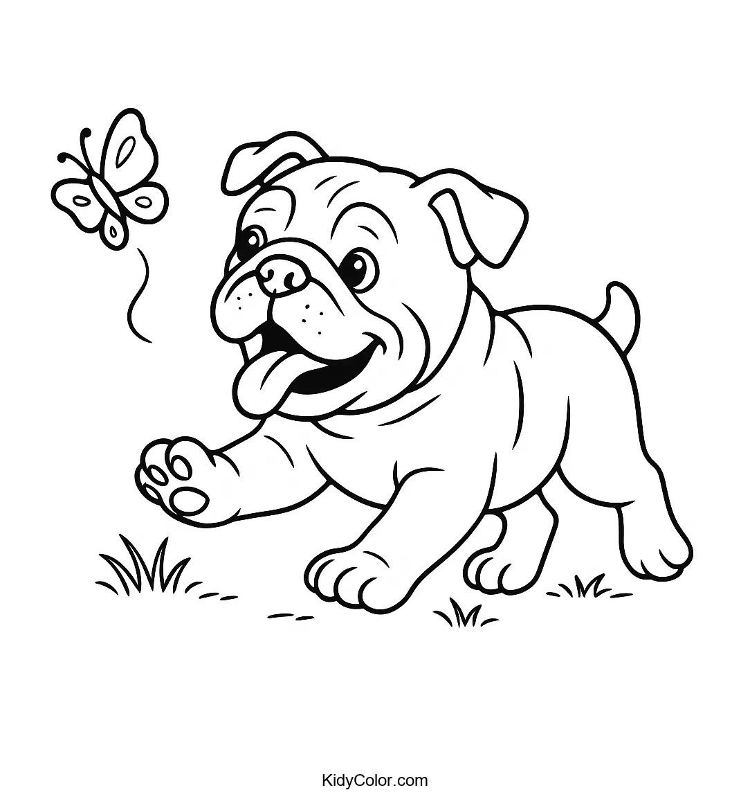 Bulldog puppy chasing a butterfly