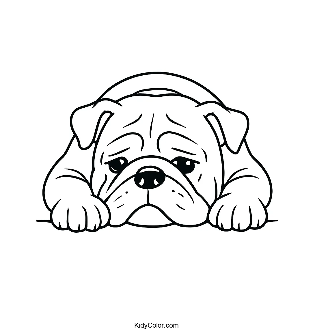 Coloring page of a resting bulldog in bold lines