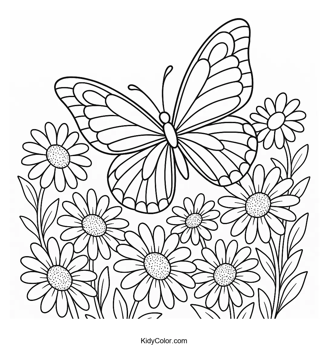 Butterfly and daisies line art