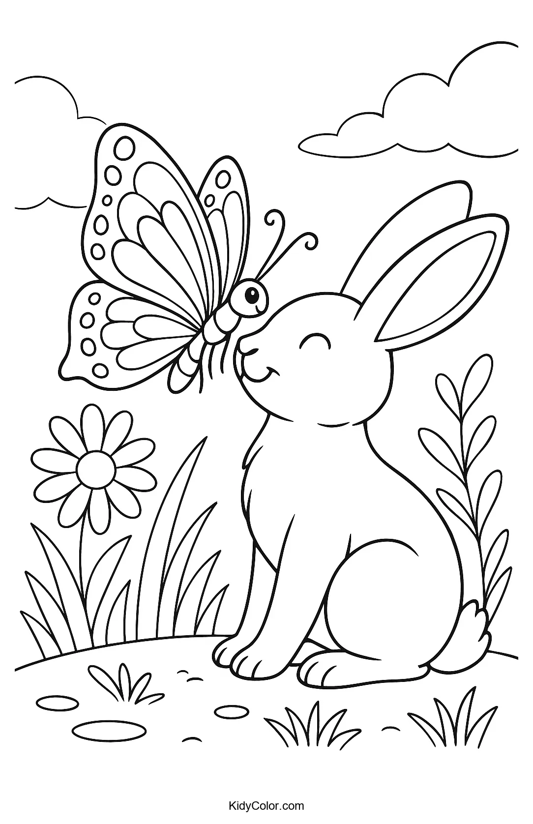 Butterfly And Rabbit In Serenity
