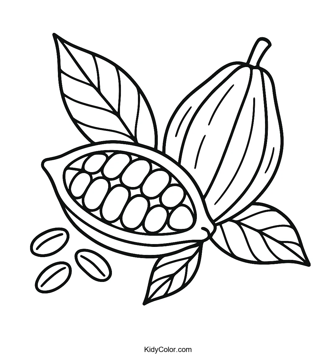 Coloring page with cacao pods and cocoa beans