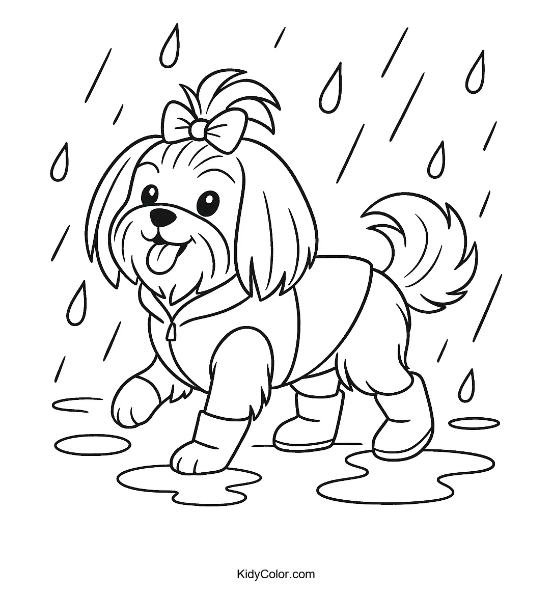 Cheerful Shih Tzu in the rain with an umbrella