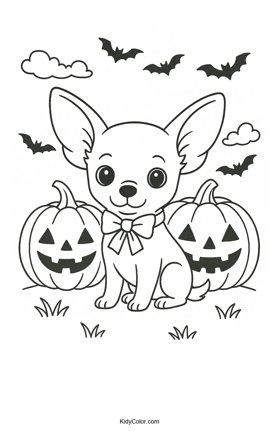 A Chihuahua with Halloween pumpkins and bats.