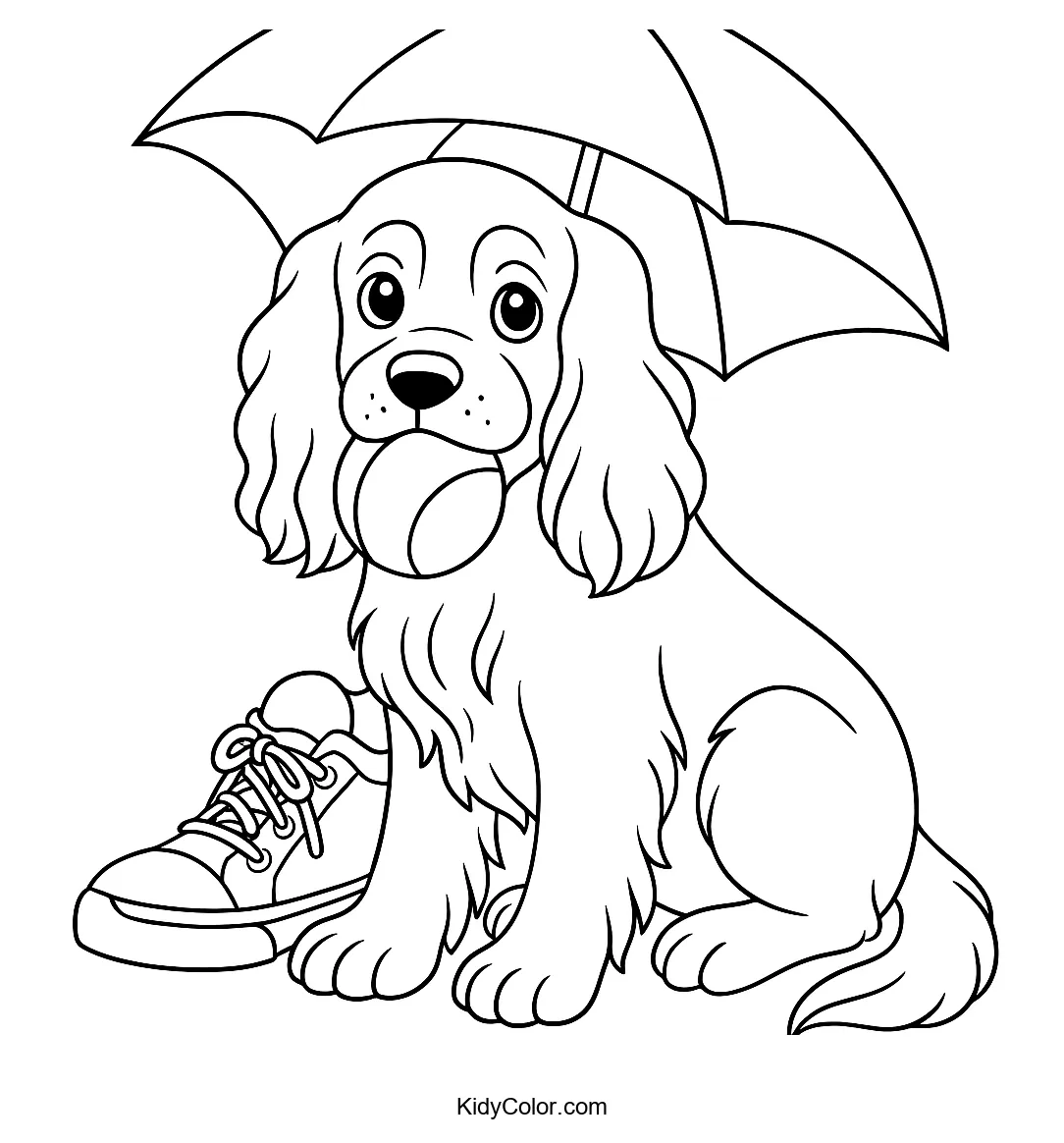 Cocker Spaniel with ball and sneakers