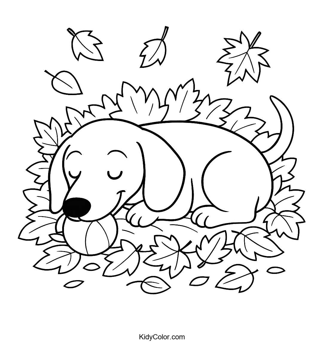 Dachshund standing in autumn leaves