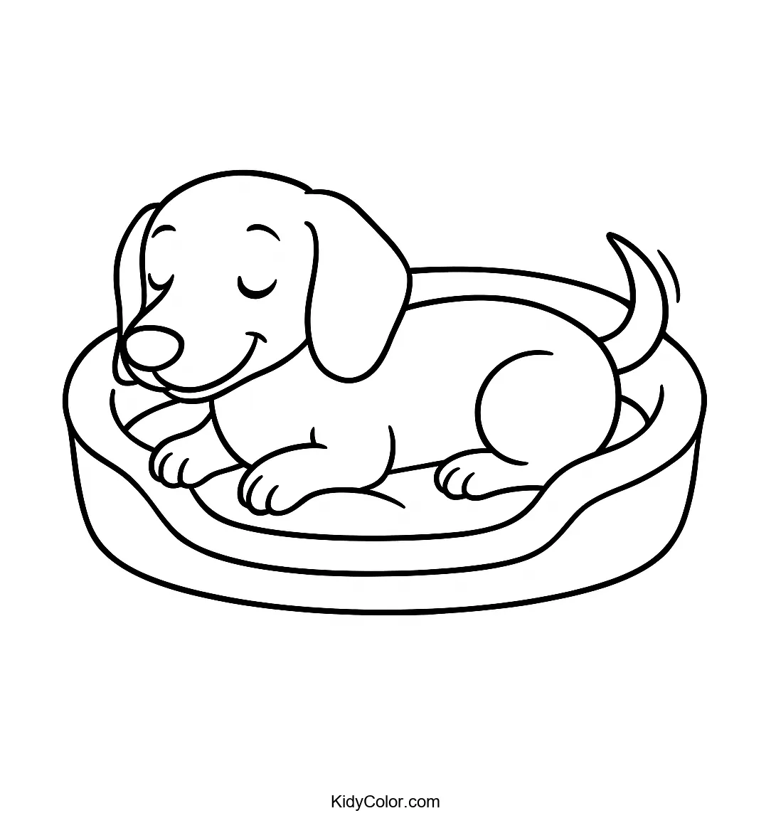 Dachshund sleeping in a cozy bed line drawing