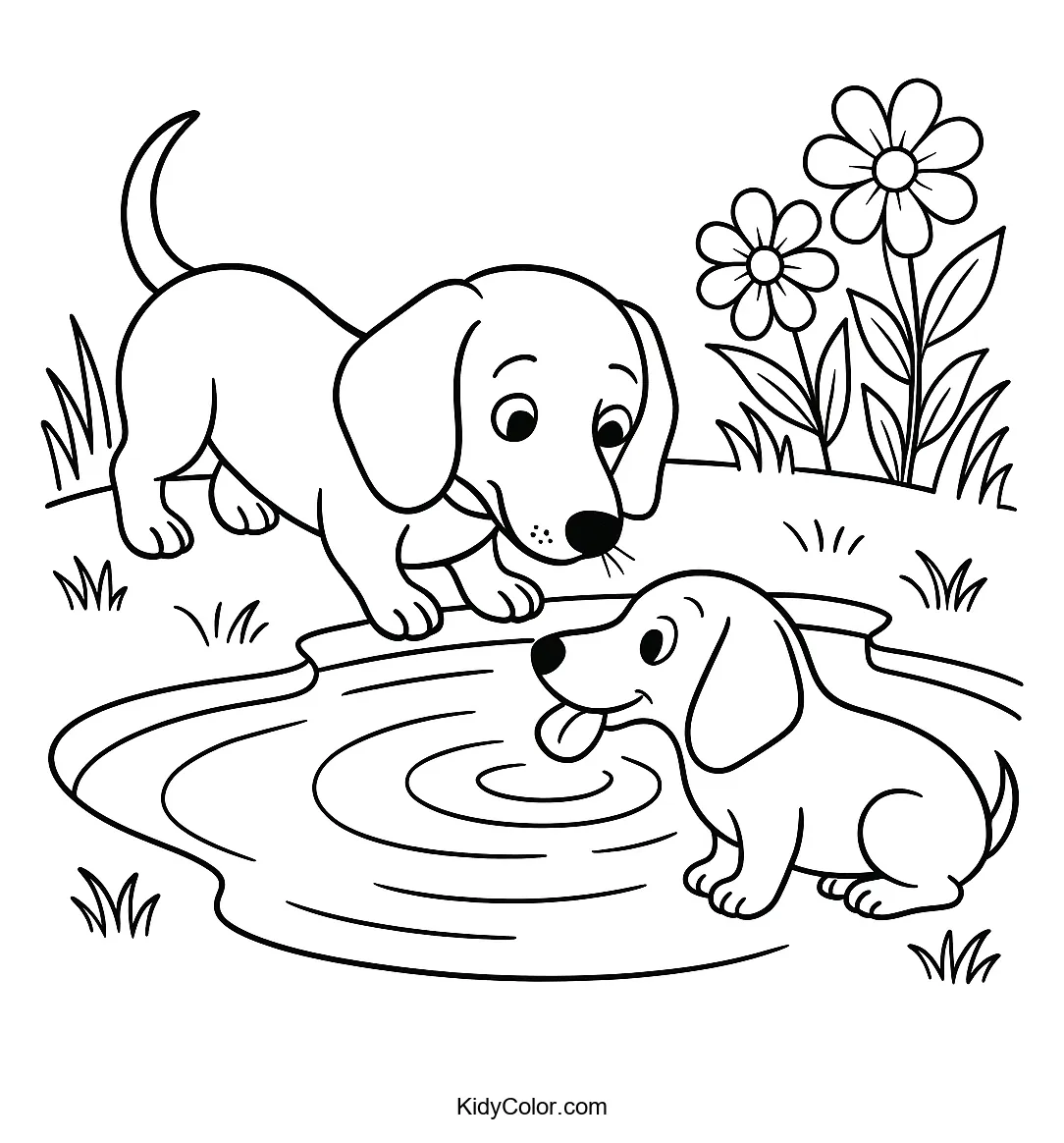 Dachshund dog by a reflective pond coloring page