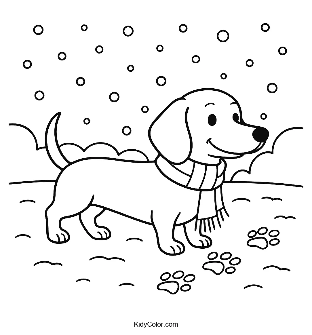 Dachshund in the snow wearing a scarf