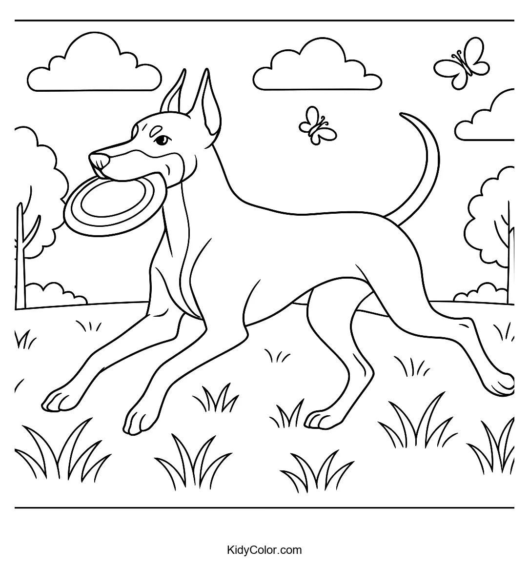 Doberman chasing frisbee in a field coloring page