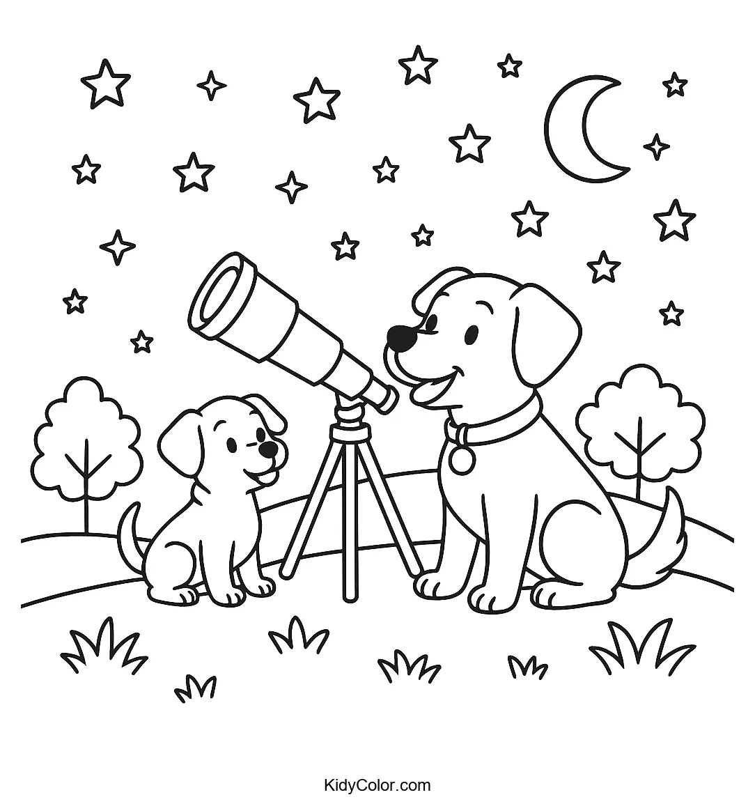 Dogs looking at the moon and stars