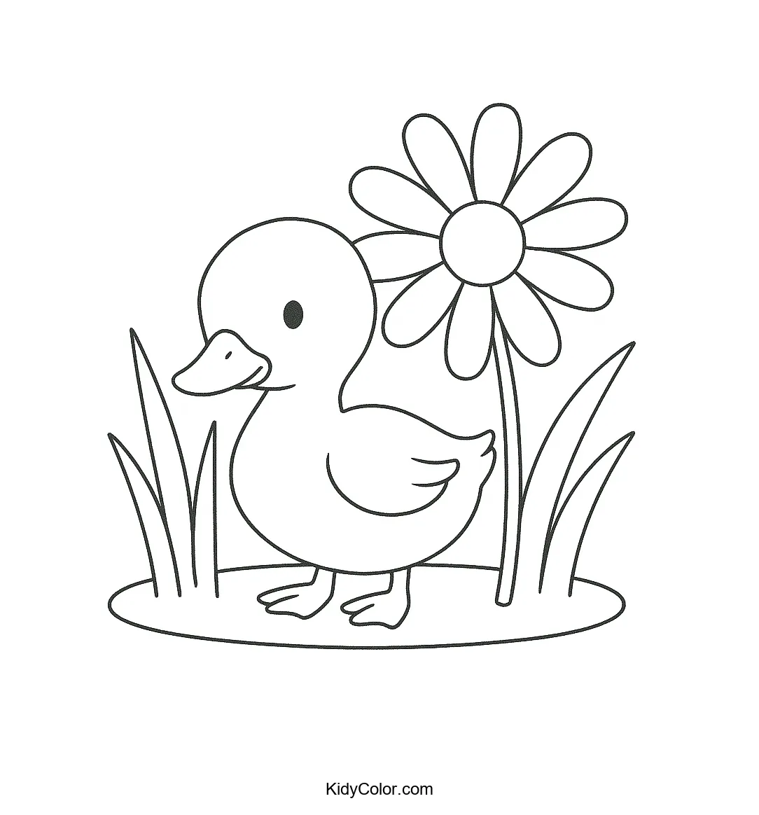 Duckling with daisies in grass