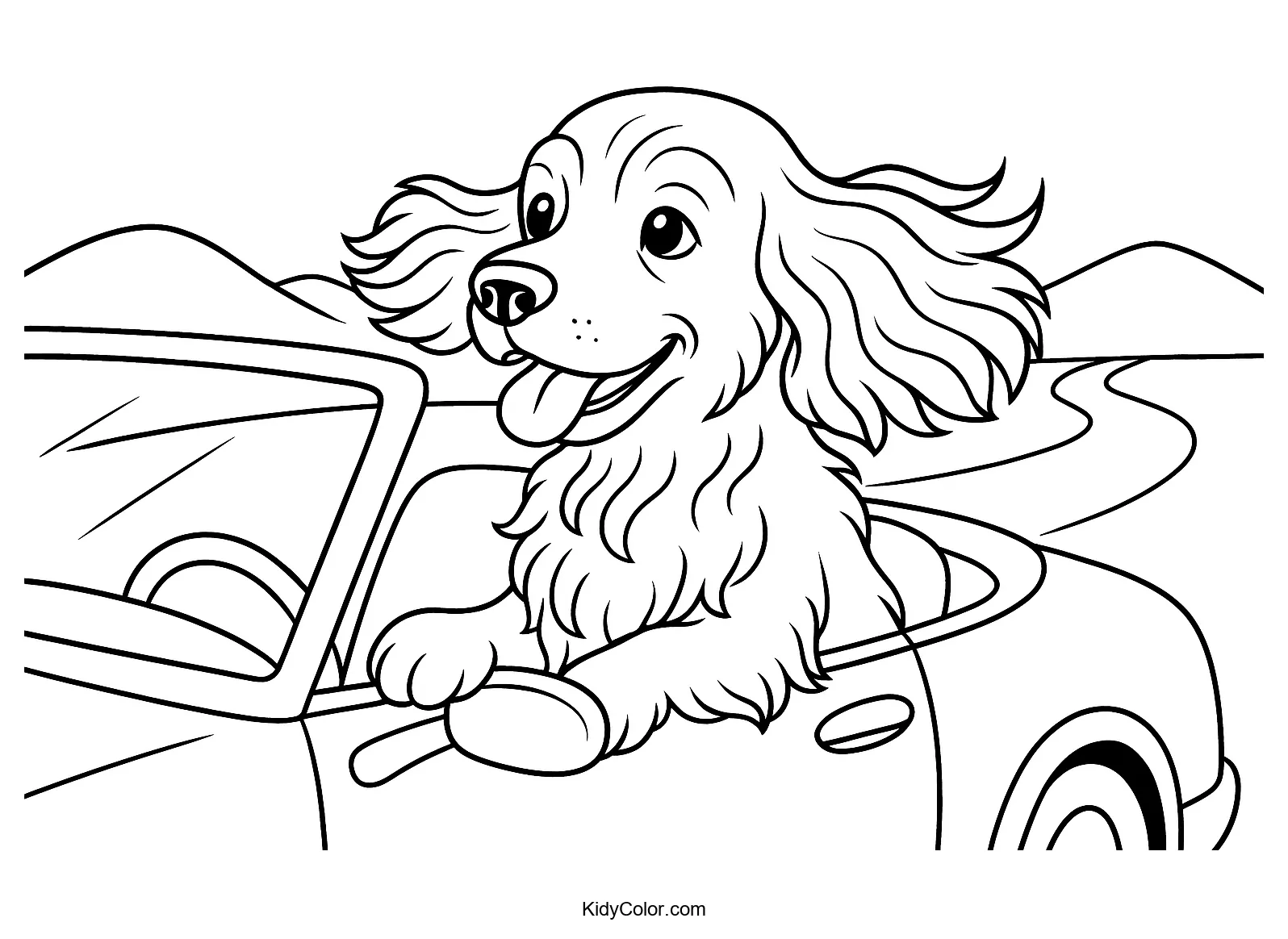 Excited Cocker Spaniel in a convertible