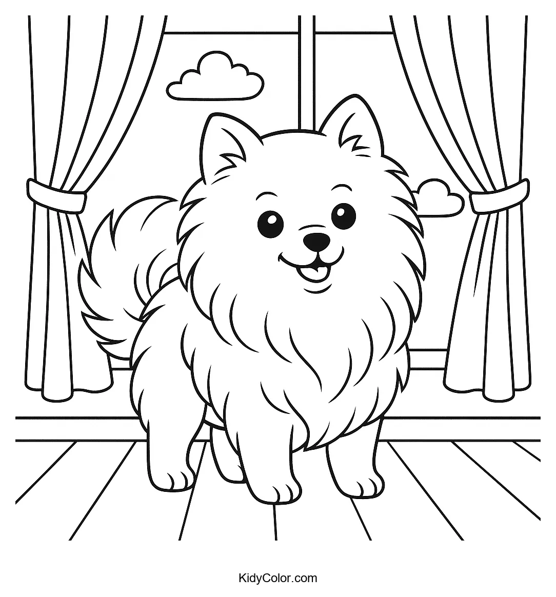 Fluffy Pomeranian sitting by a window