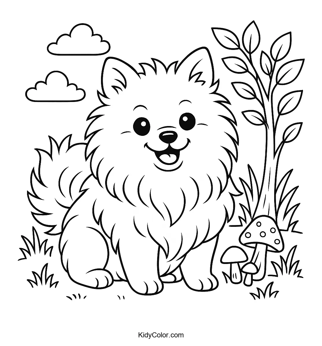 Fluffy Pomeranian dog in a meadow