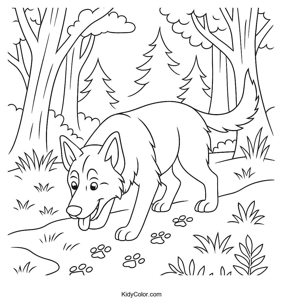 German Shepherd dog tracking in the forest