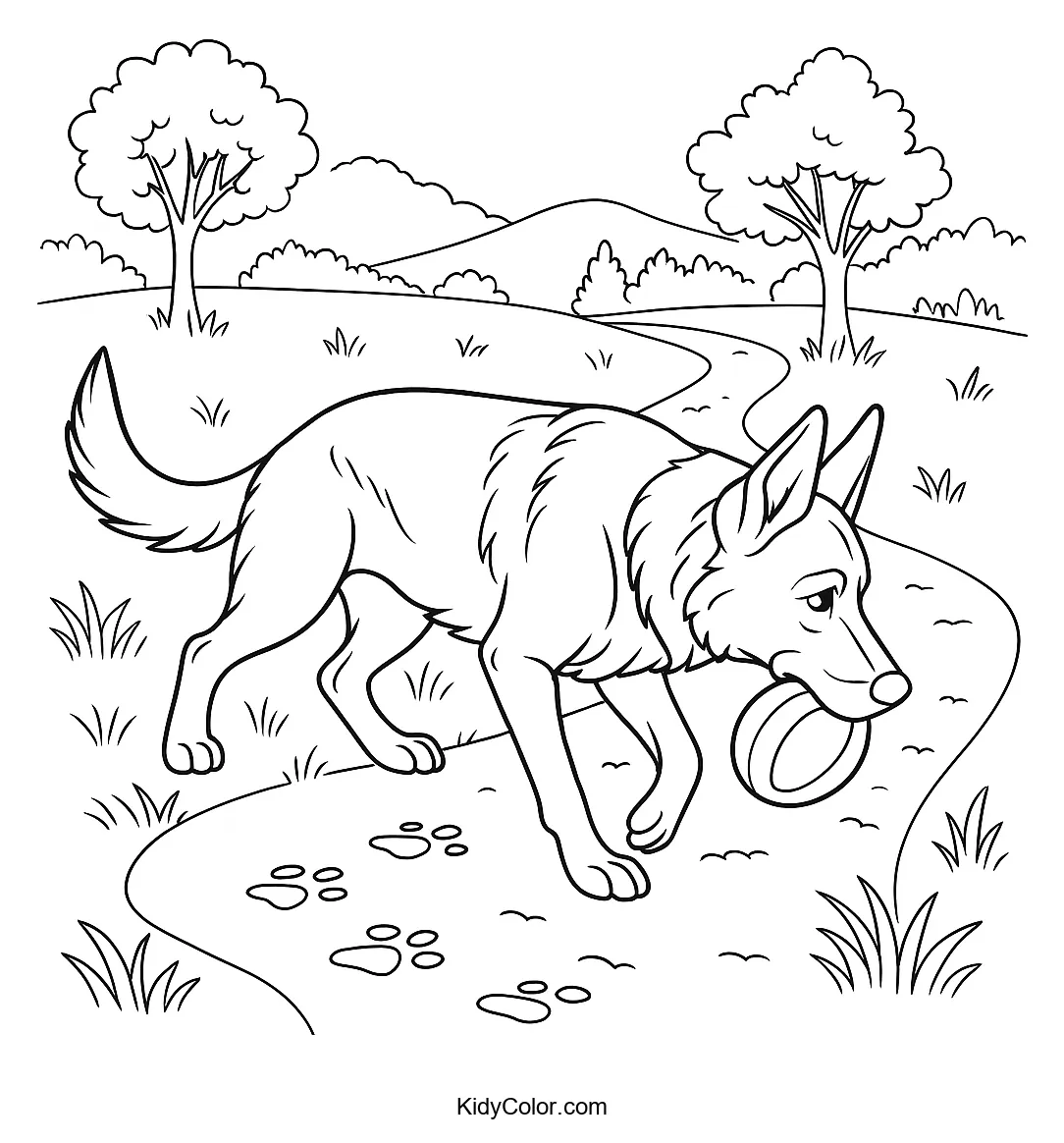 German Shepherd on a winding path