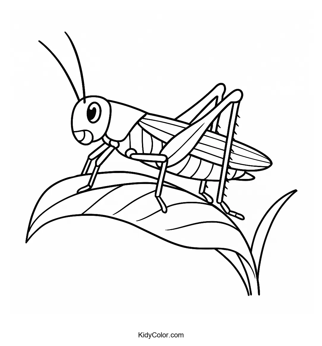 Grasshopper on a curved leaf coloring page