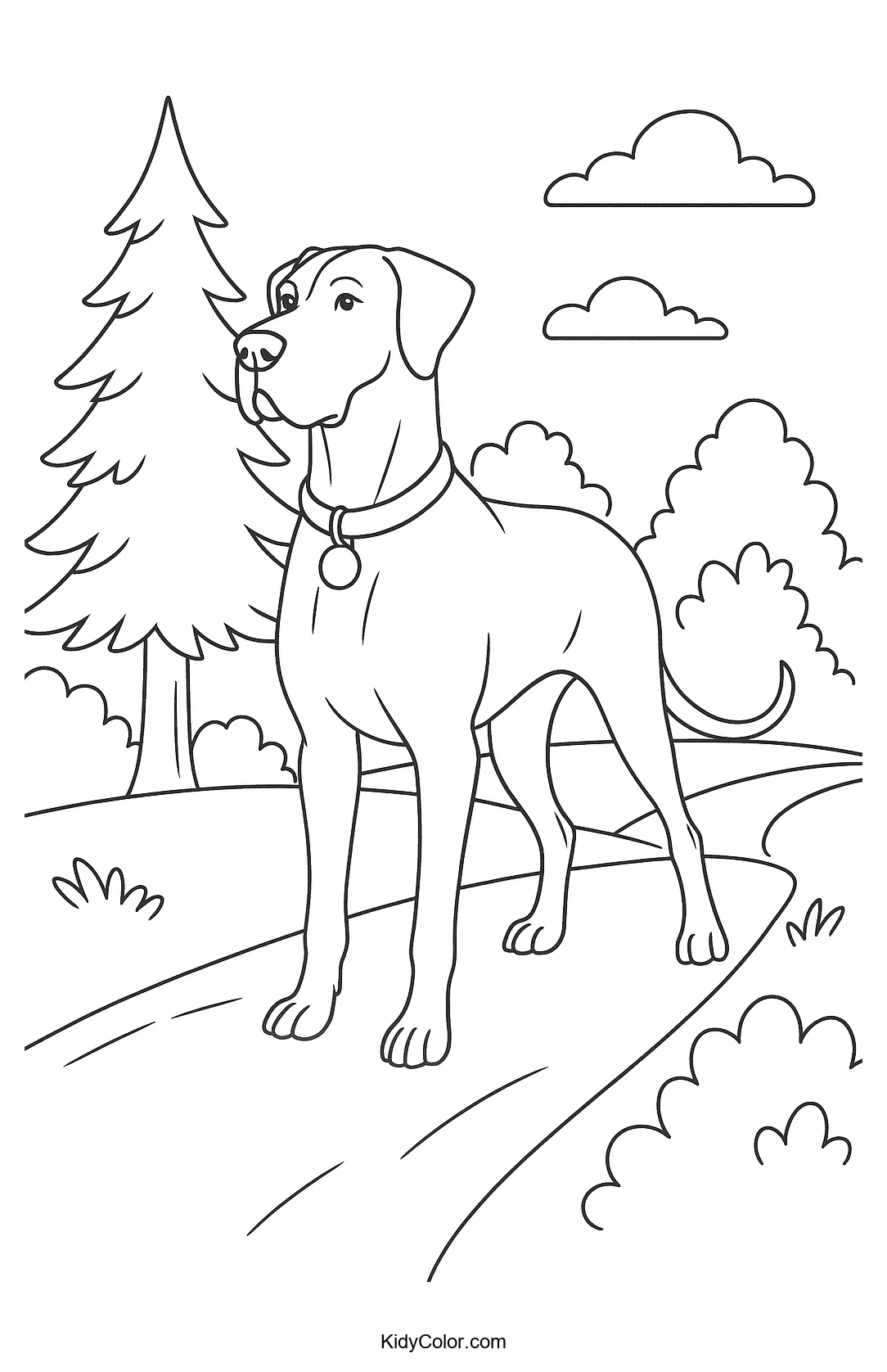 Great Dane standing in a scenic landscape