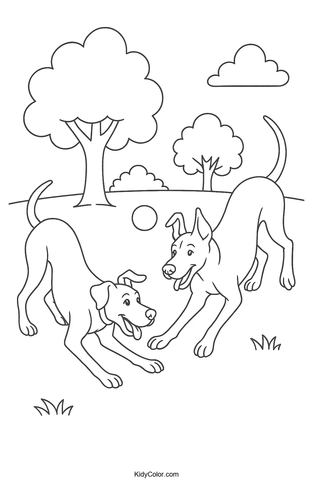 Great Danes playing in the park image