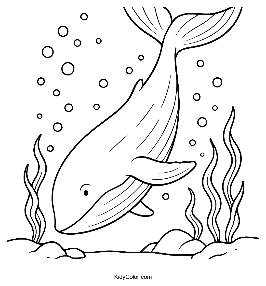 Humpback Whale diving in the ocean