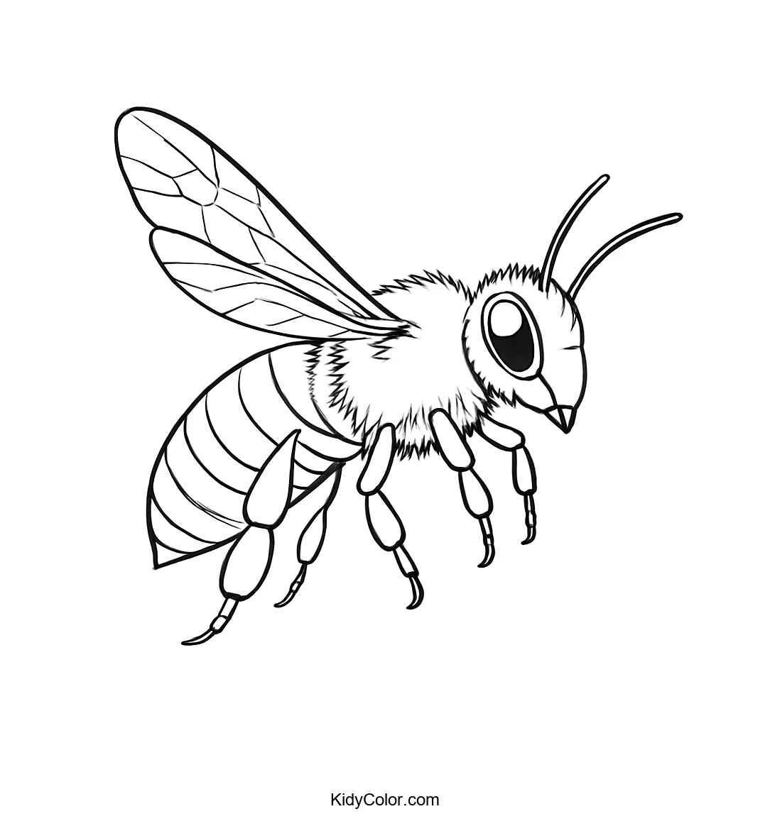 Image of an intricate bee in flight for coloring