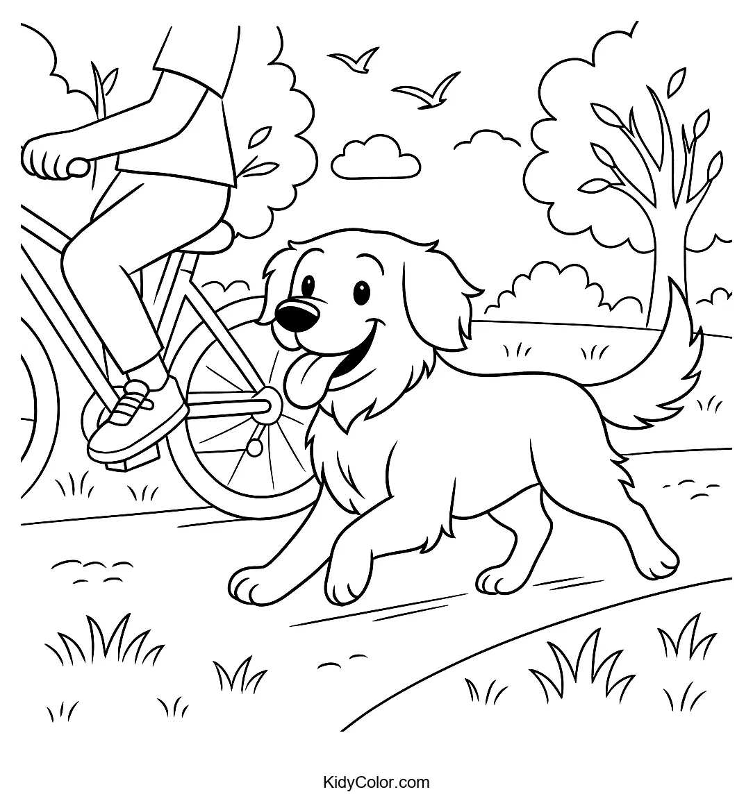 Dog chasing cyclist in park