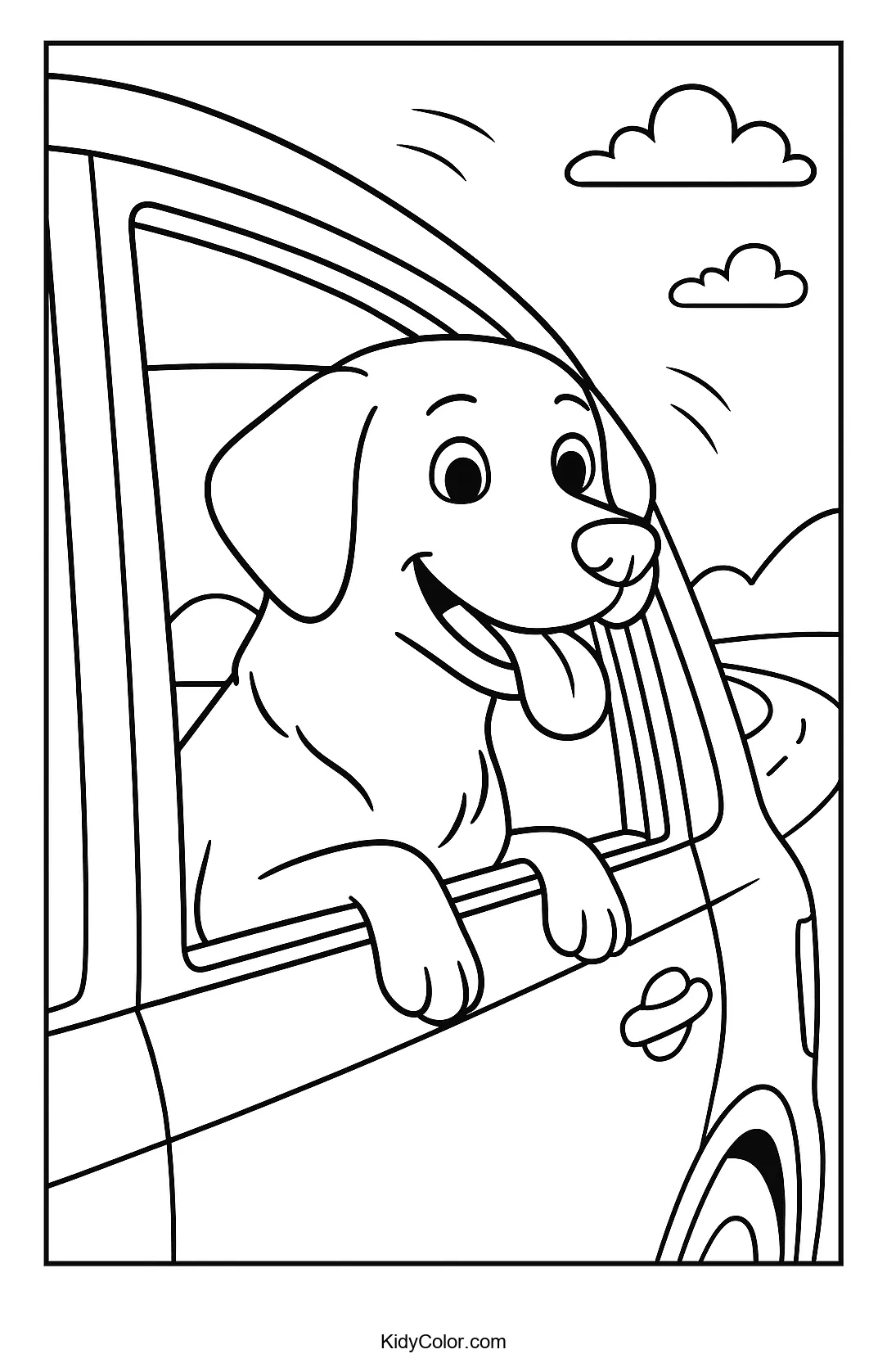 Labrador dog with ears flapping on a car ride