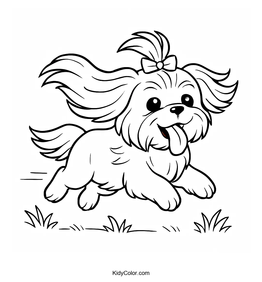 Coloring page of a playful Shih Tzu in motion