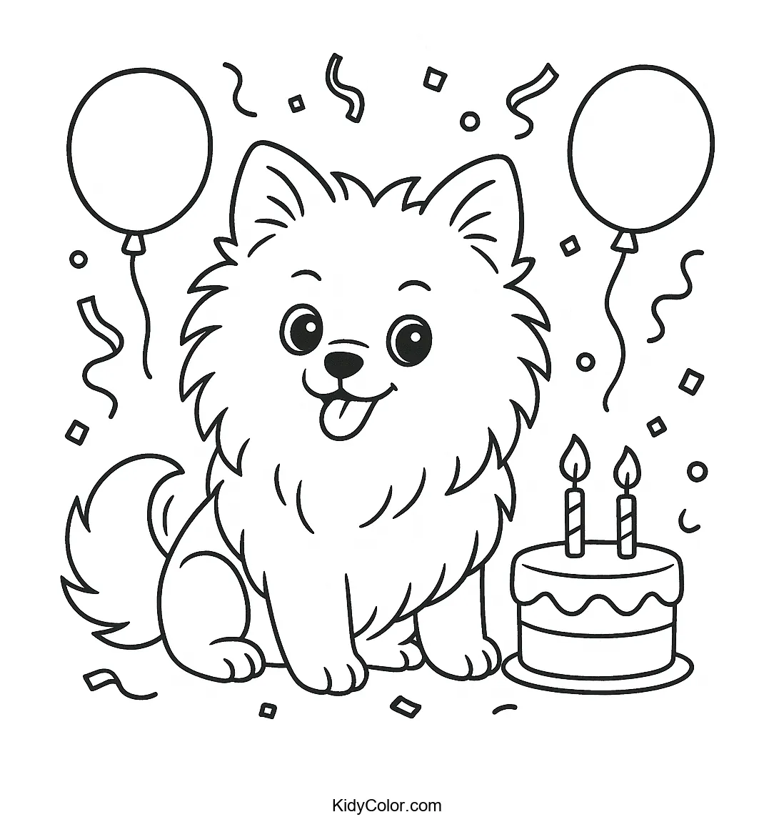 Pomeranian celebrating its birthday with balloons and cake