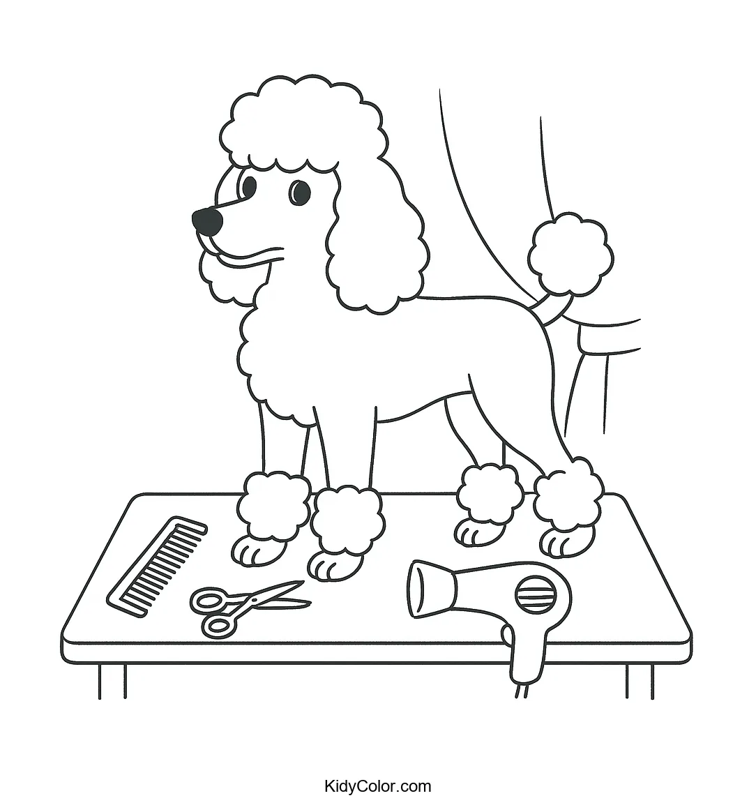 Poodle being groomed on a table