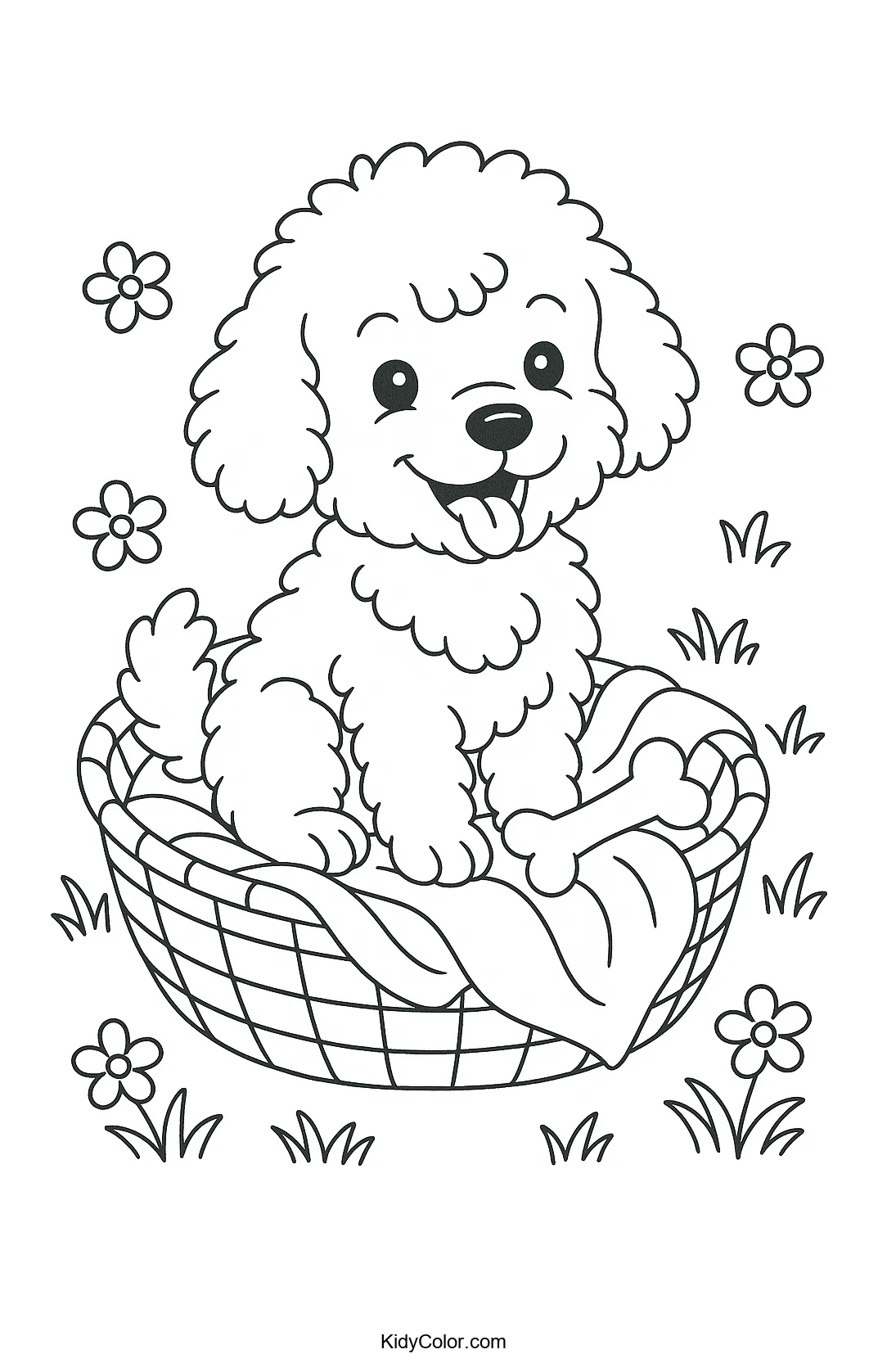 Cute poodle puppy sitting in a basket