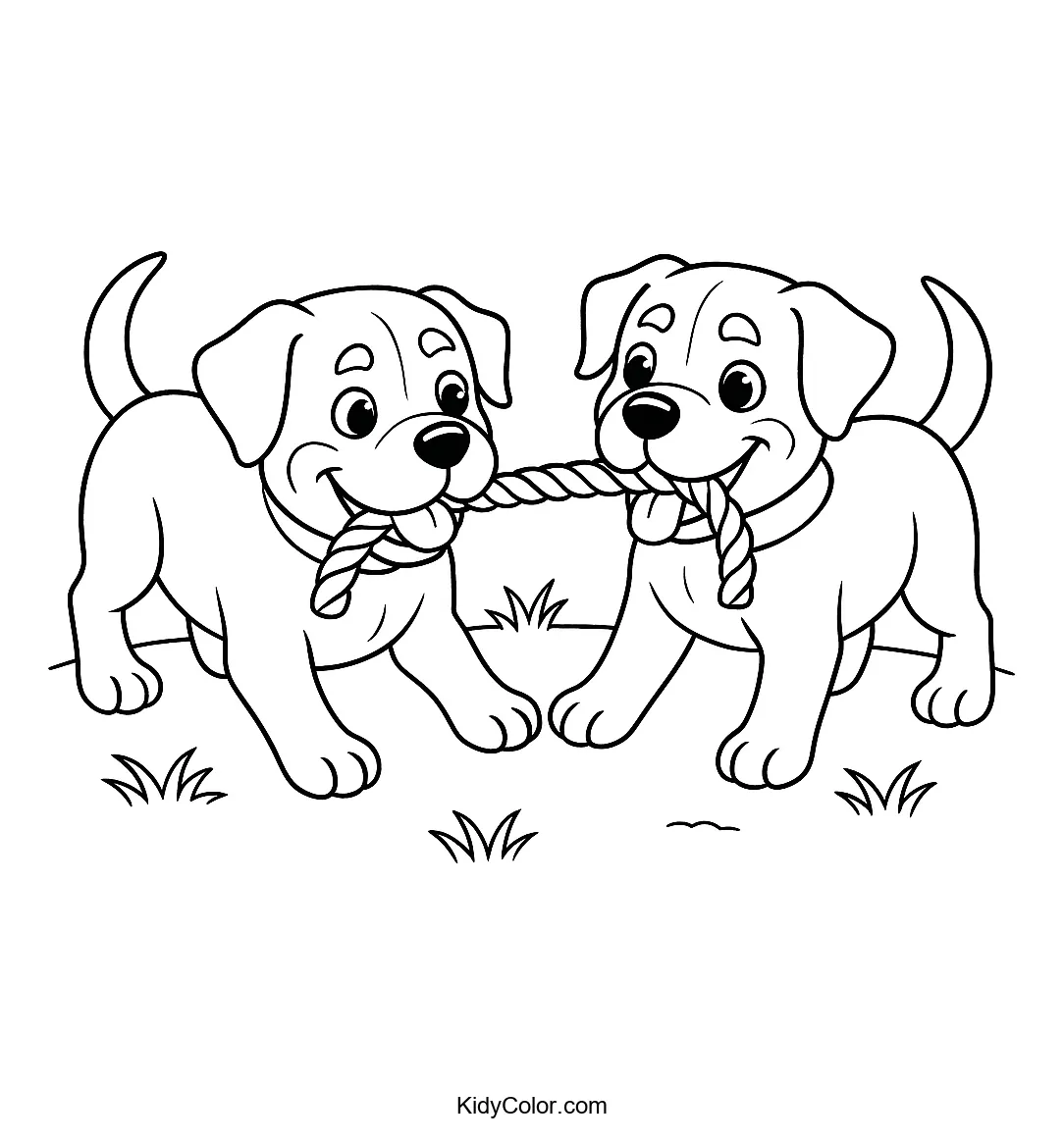 Puppies playing tug-of-war