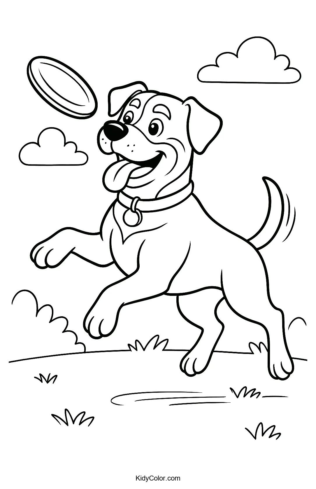 Rottweiler catching a frisbee in mid-air