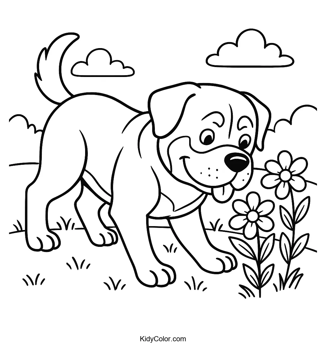 Rottweiler sniffing garden flowers