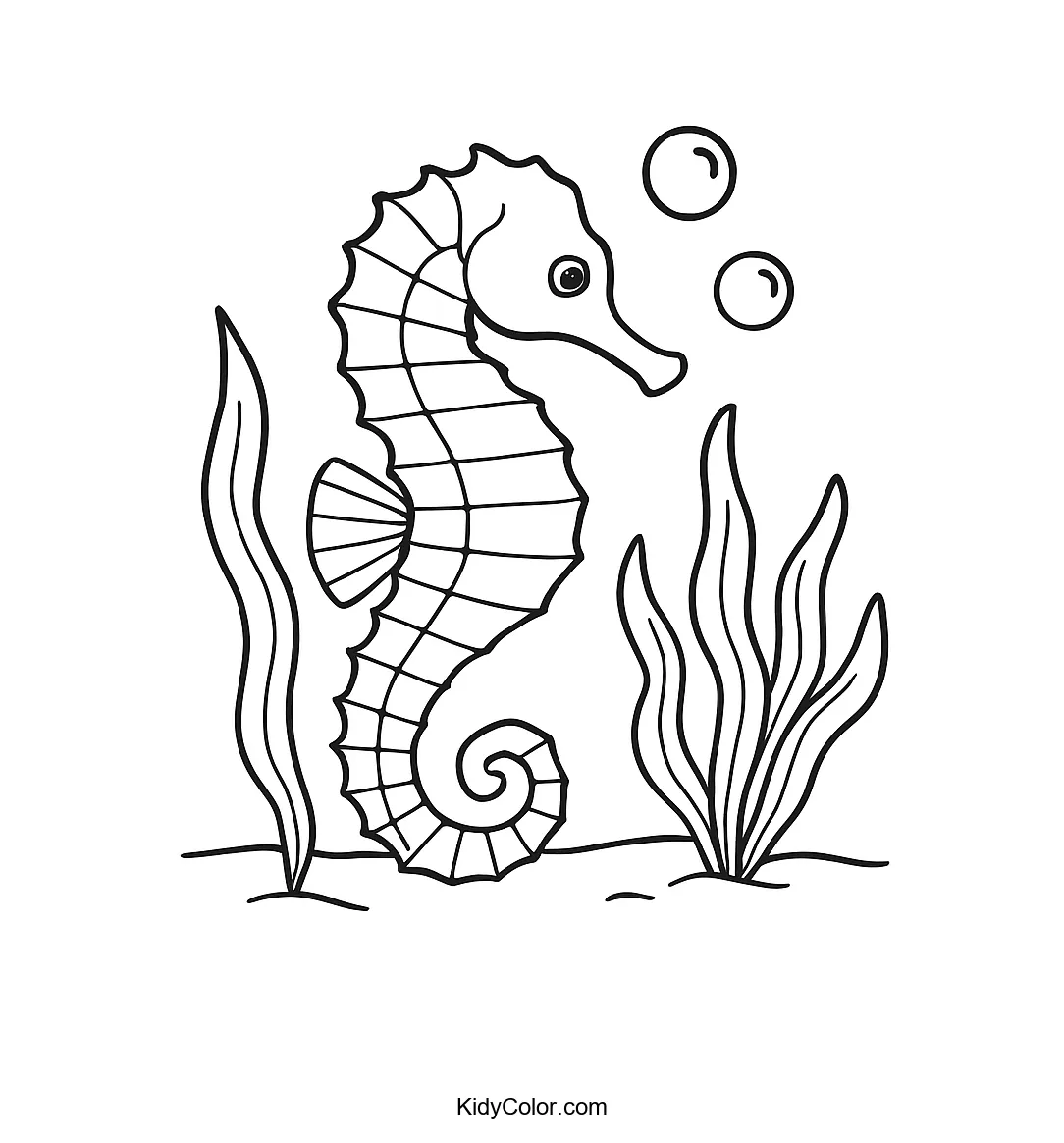 Seahorse with bubbles and seagrass coloring page