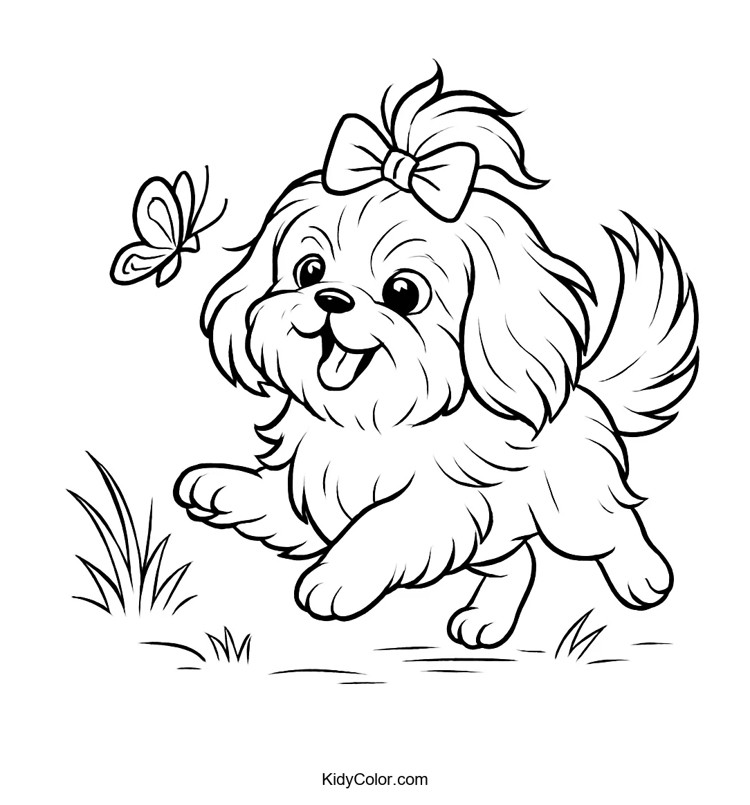 Shih Tzu chasing a butterfly coloring page
