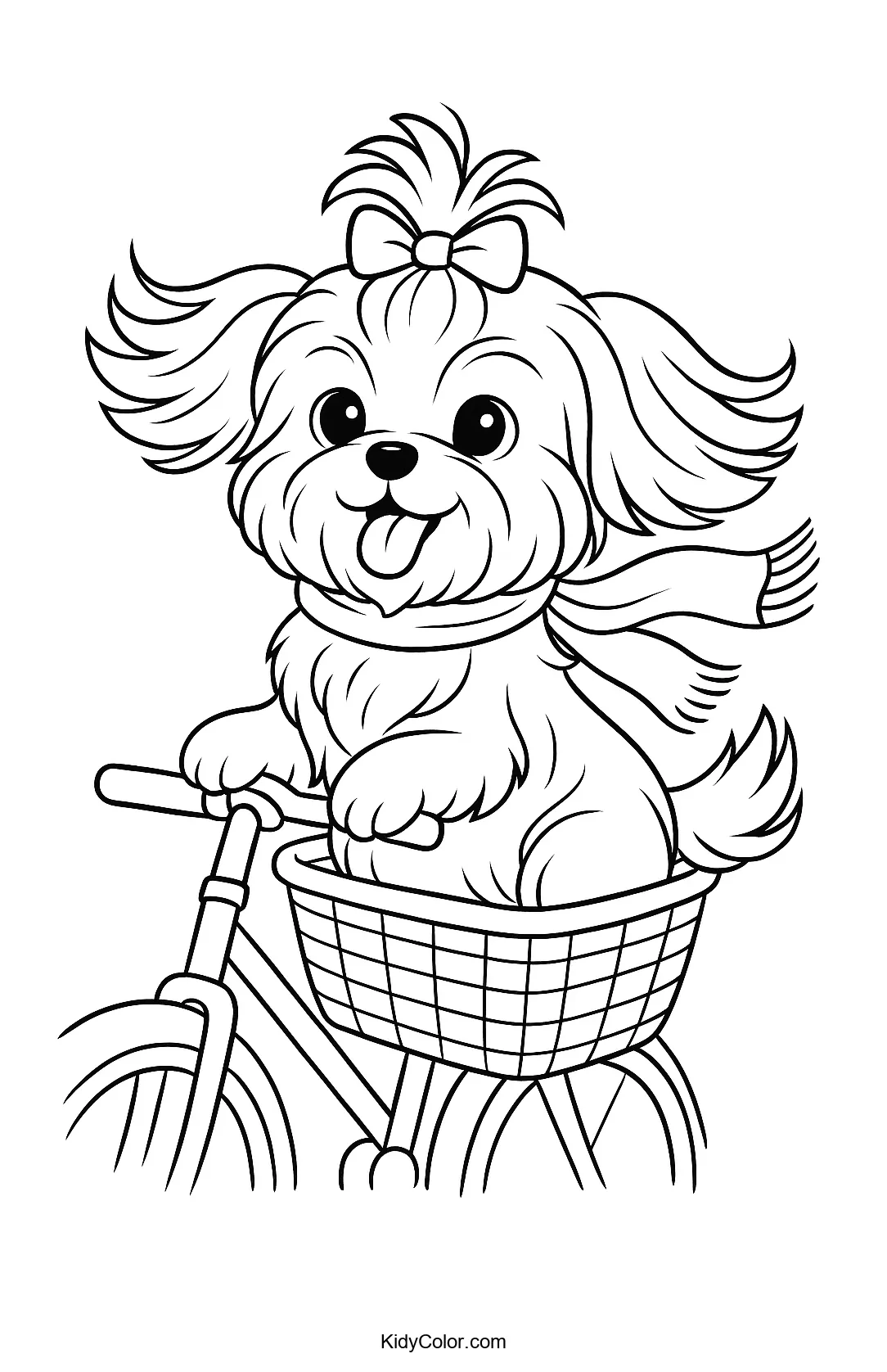 Shih Tzu in a bicycle basket