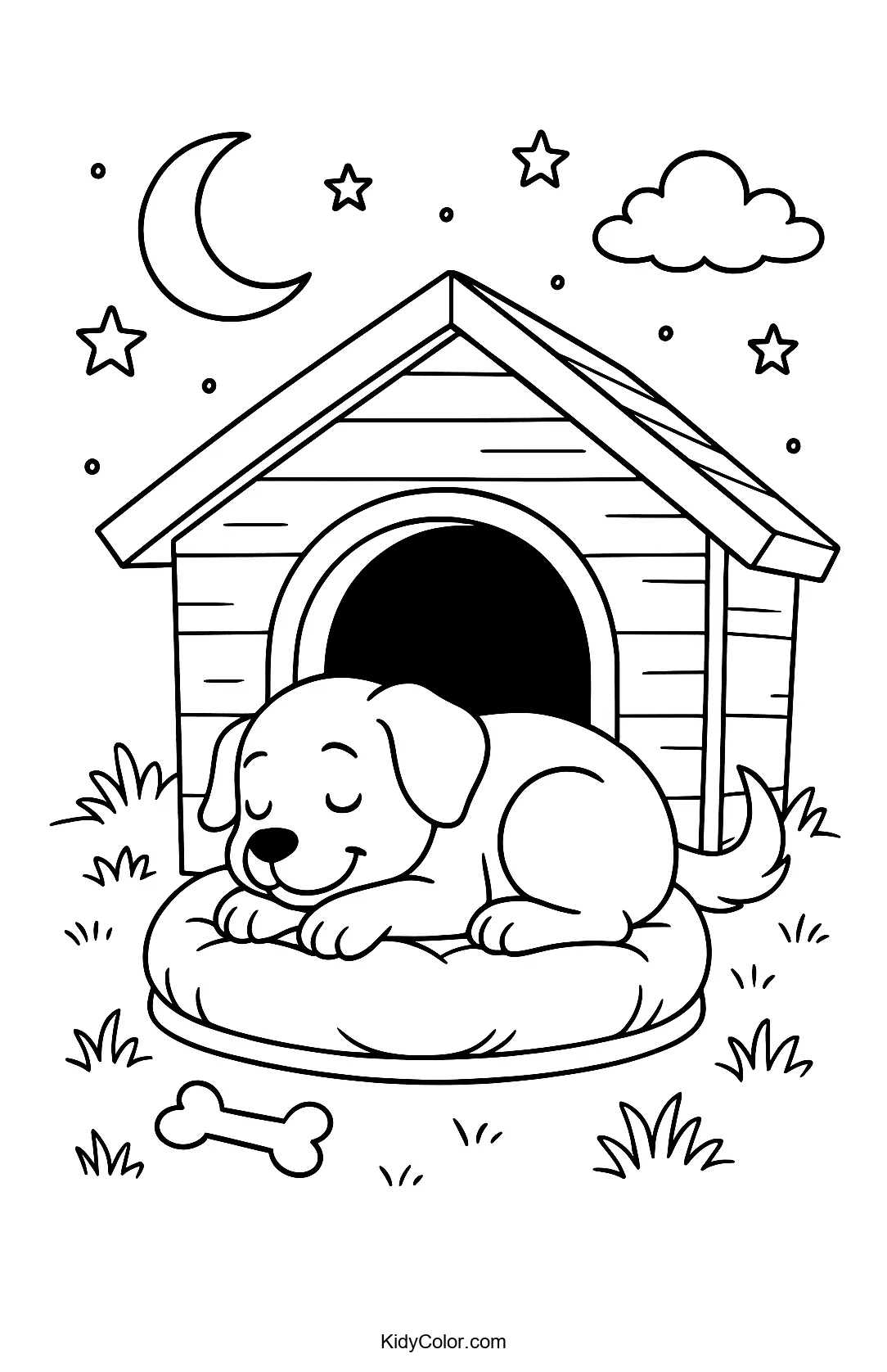 Sleeping dog under the stars