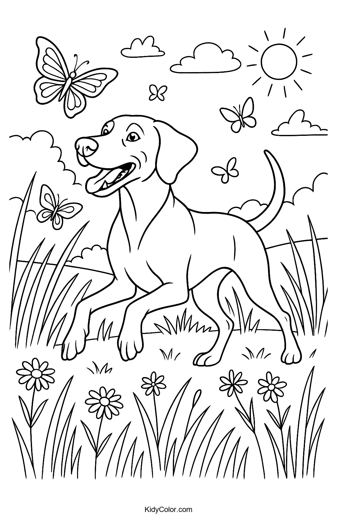 Vizsla playing in a wildflower meadow