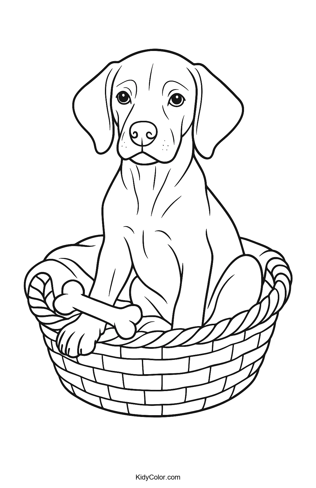 Vizsla puppy in a basket coloring page