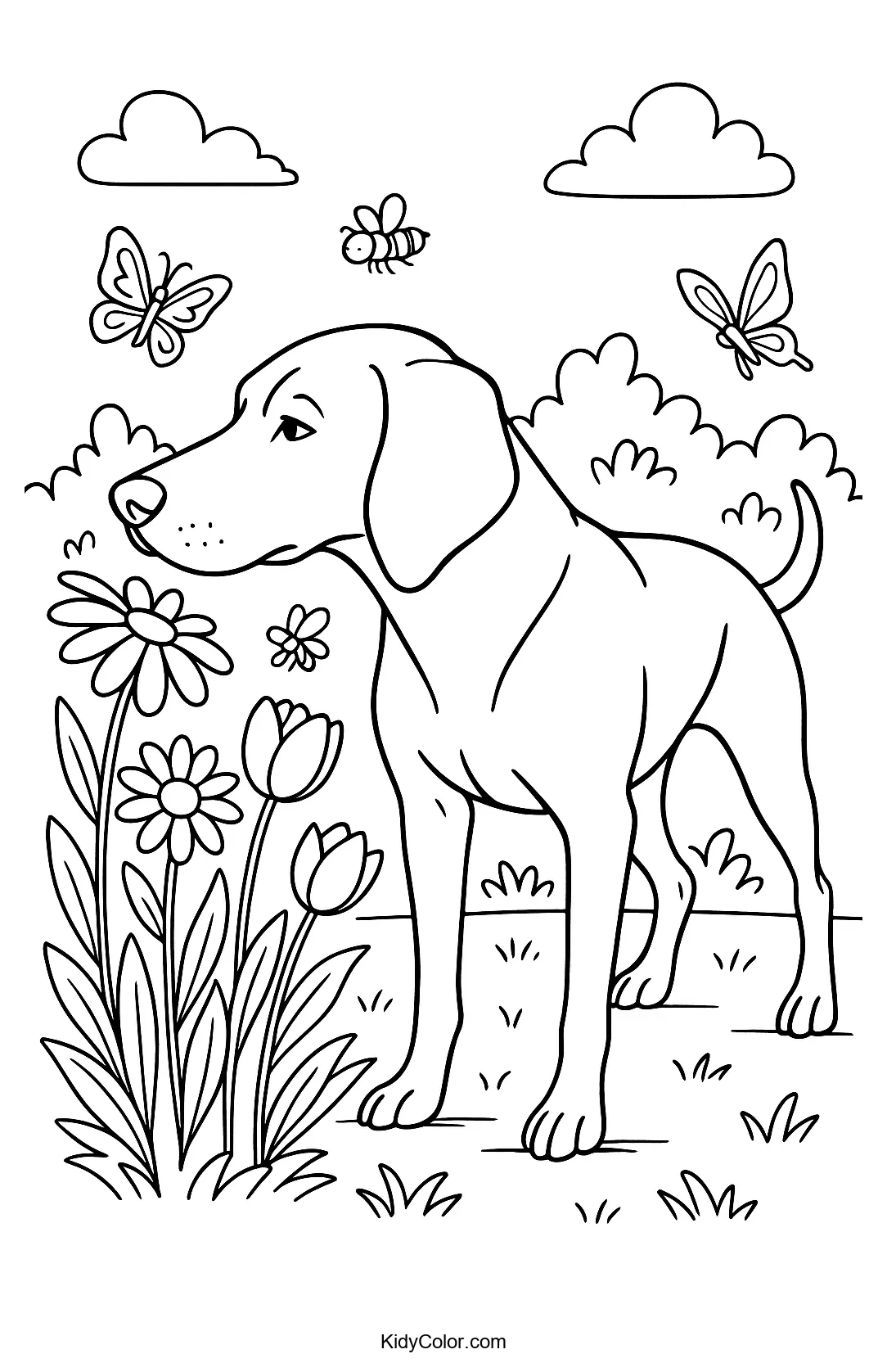 Vizsla dog in a blooming garden
