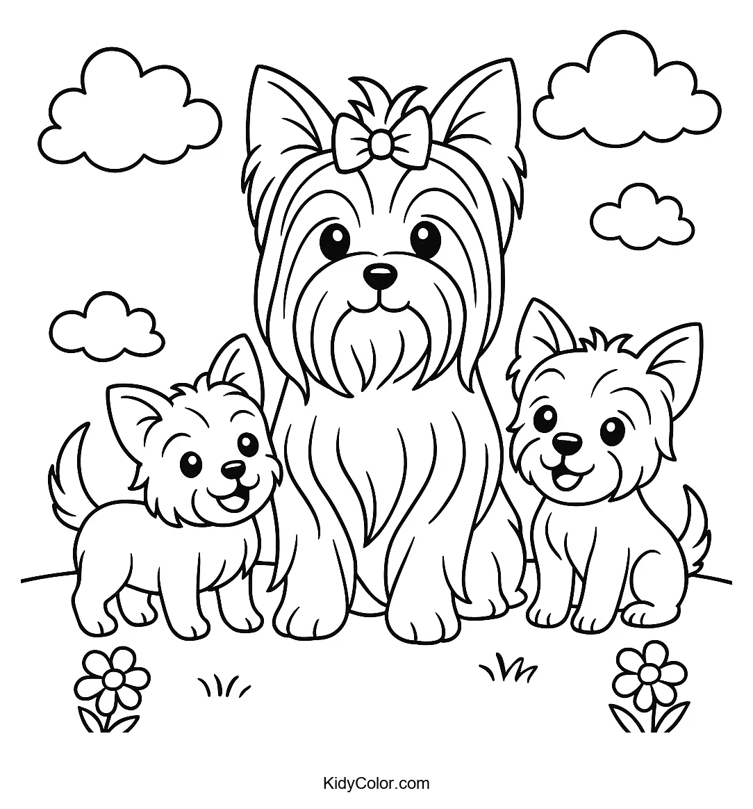 Yorkshire Terrier family in a garden