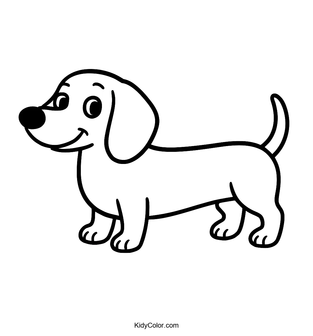 Cartoon dachshund with long body and short legs
