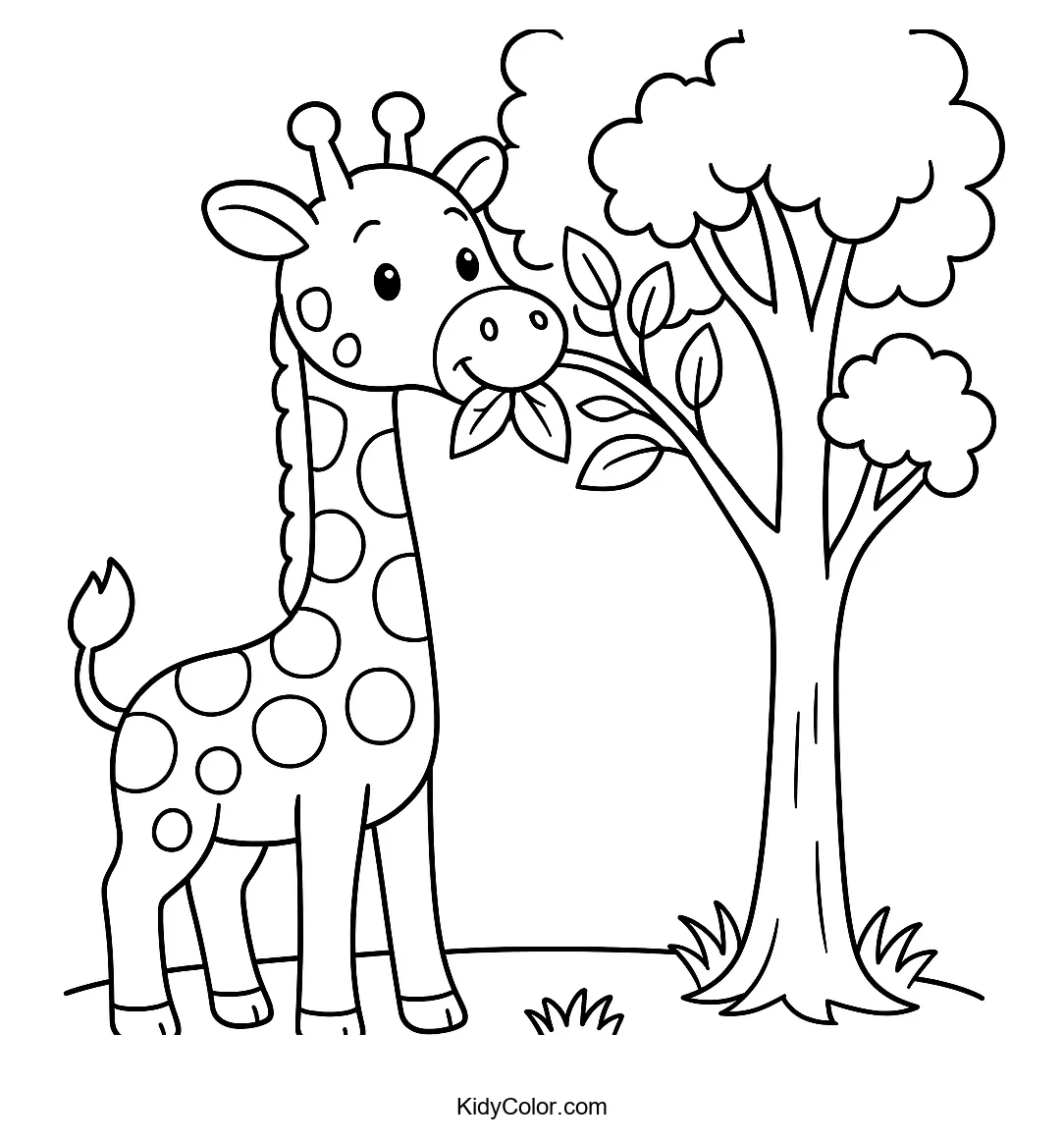 Giraffe eating leaves from a tall tree